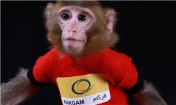 دومین میمون فضانورد ایرانی سالم به زمین بازگشت