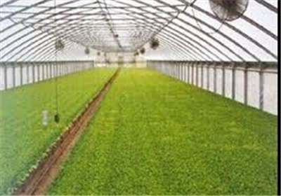 بهره‌برداری از ۷ طرح کشاورزی در شهرستان سیرجان