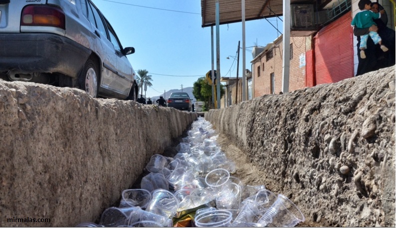 هم صدایی انجمن های سیرجان برای حفظ محیط زیست