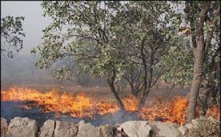 آتش سوزی پنج هکتار از مراتع طبیعی سیرجان