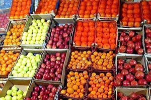 میزان ذخیره میوه شب یلدا جوابگوی بازار می باشد/ مردم هرگونه گران فروشی را گزارش نمایند