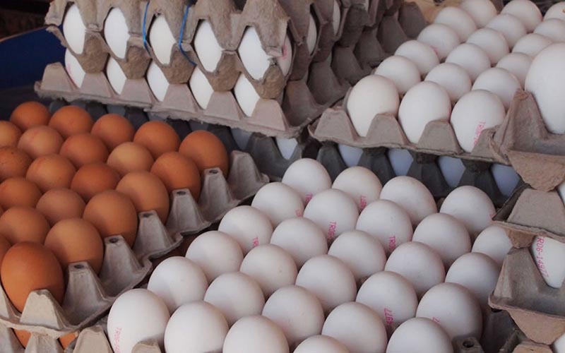 ضبط و امحاء بیش از دو هزار عدد تخم مرغ غیربهداشتی در سیرجان