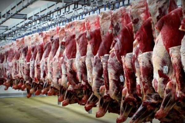 قیمت فروش گوشت گرم گوساله، گوسفندی و شتر در سیرجان / قصابان متخلف جریمه شدند