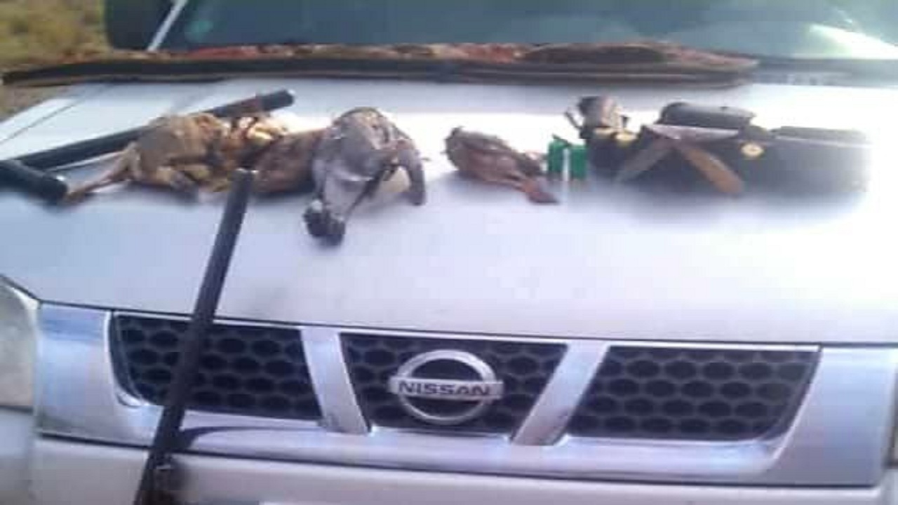 دستگیری متخلفین شکار غیرمجاز پرندگان وحشی در سیرجان