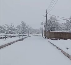 تمام محورهای مواصلاتی سیرجان میزبان برف زمستانی هستند