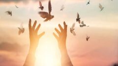 آزادی زندانی جرائم غیر عمد در آستانه عید فطر با همت خیر سیرجانی