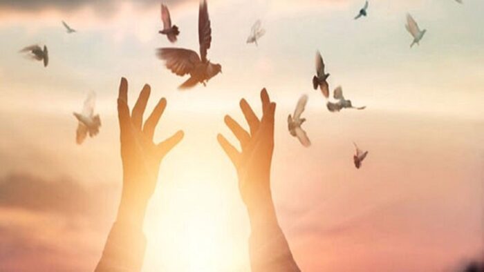 آزادی زندانی جرائم غیر عمد در آستانه عید فطر با همت خیر سیرجانی