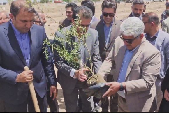 کاشت ۱۶۸ نهال شجره طیبه در سیرجان