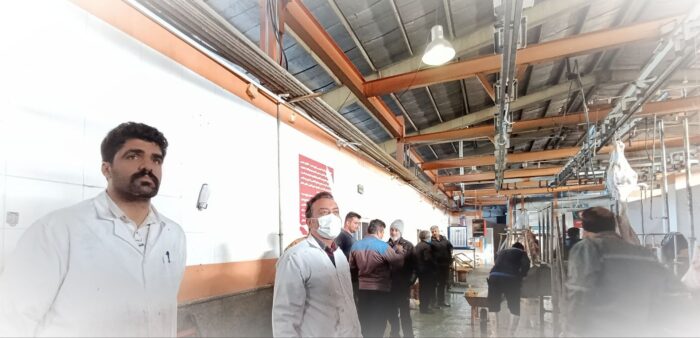 حضور کارشناسان شبکه دامپزشکی و مسئول فنی بهداشتی دامپزشکی در کشتارگاه دام