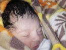 نجات نوزاد رها شده در بلوار قاآنی سیرجان