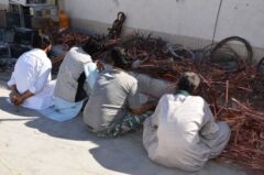 اجرای طرح برخورد با سارقان سرقت سیم برق با دستگیری ۲۶ سارق در سیرجان